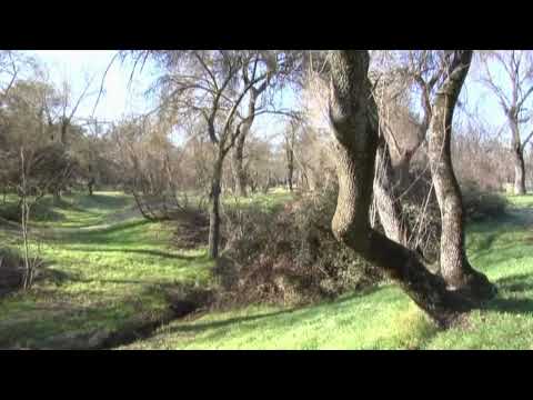 casa de campo madrid como llegar