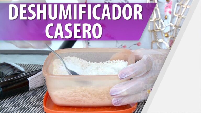 como acabar con la humedad en casa