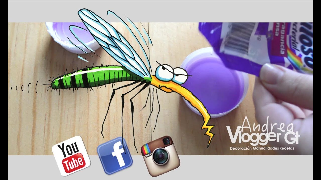 como acabar con los mosquitos en casa