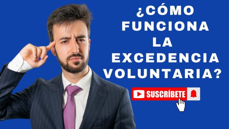 como aparece la excedencia en la vida laboral