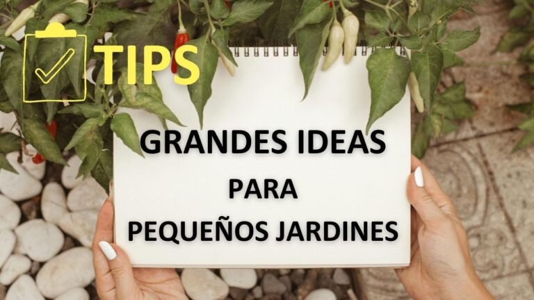 como decorar un jardín grande con poco dinero