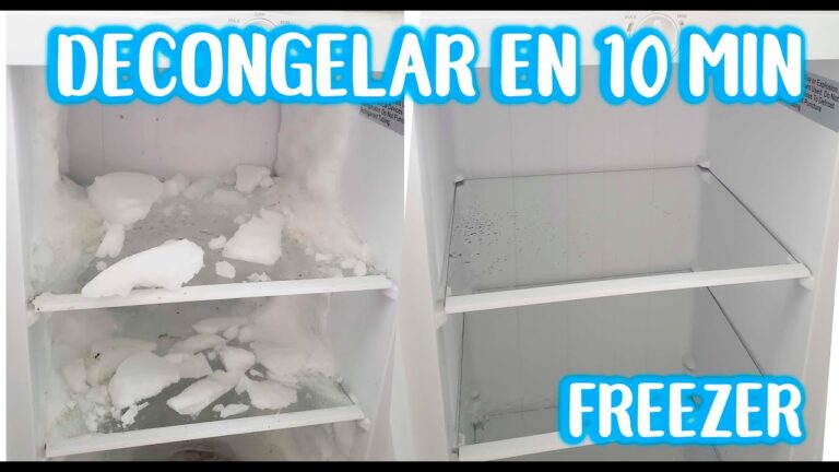 como descongelar un congelador no frost