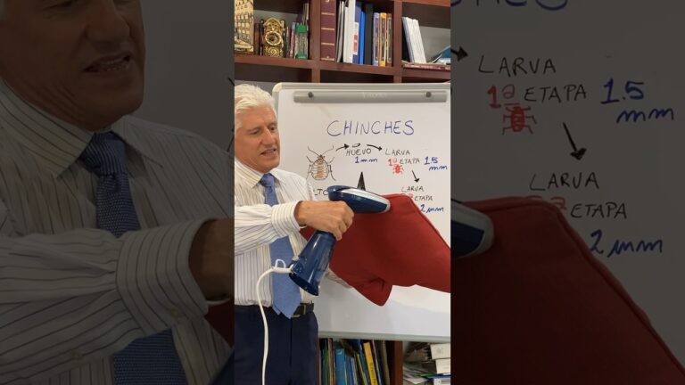 como desinfectar una maleta de chinches