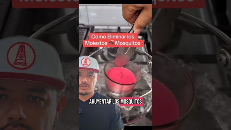 como eliminar los mosquitos de casa