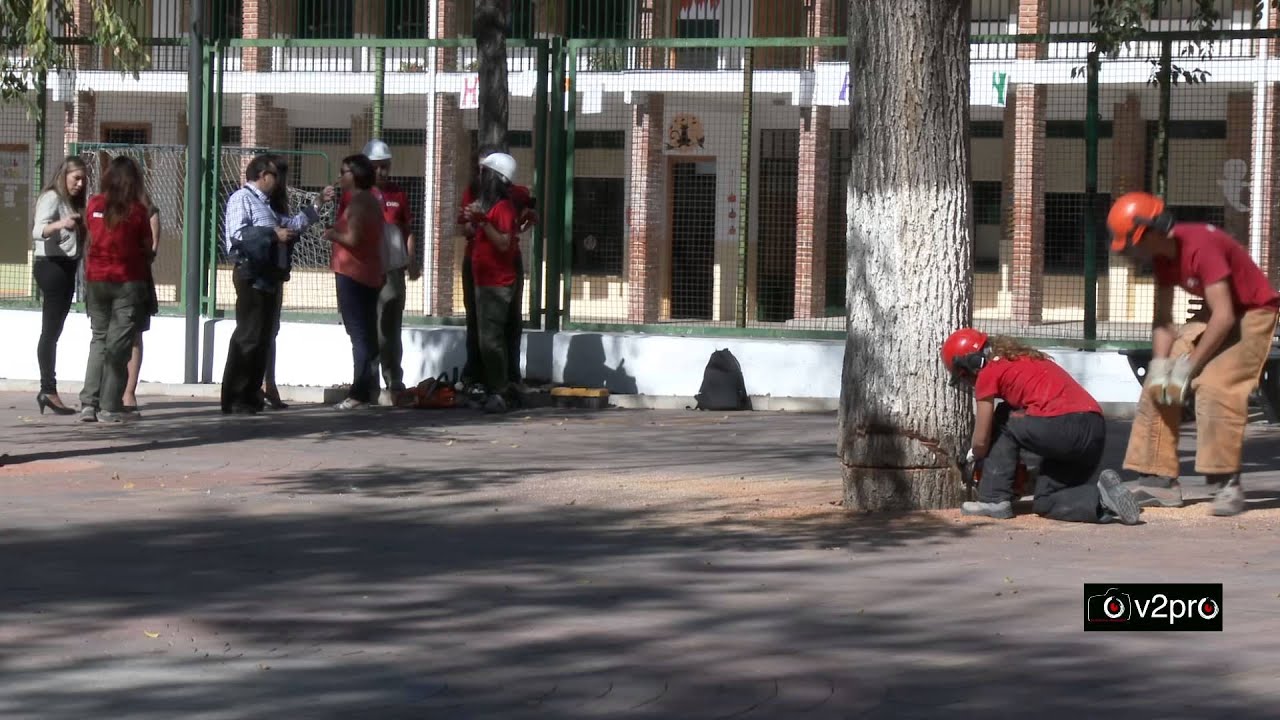 como en casa peal de becerro