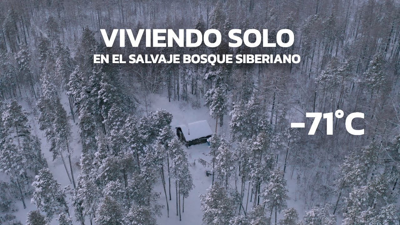 como es la vida en el bosque