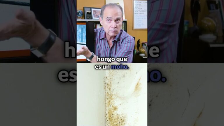 como evitar el moho en una habitación