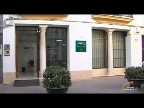 como fraccionar el pago del ibi