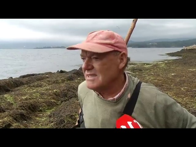 como ir a la isla de cortegada