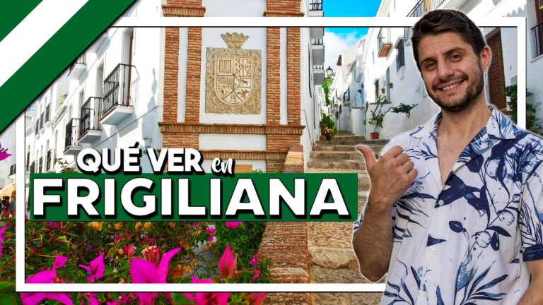 como ir de málaga a frigiliana