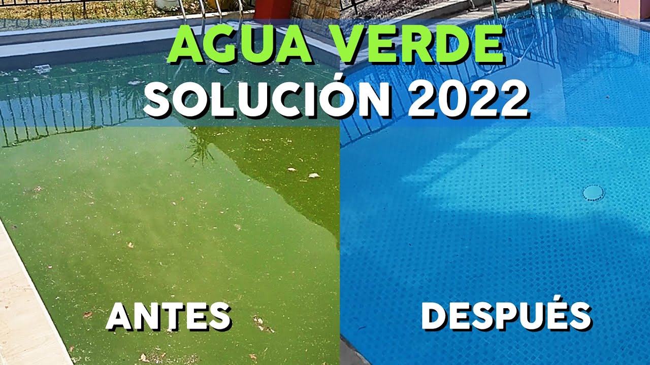 como limpiar el agua de una alberca