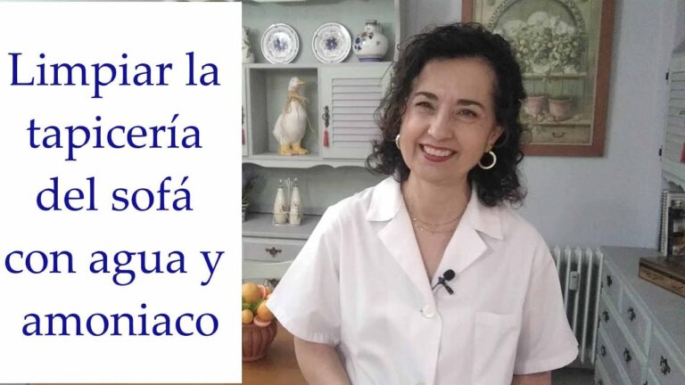 como limpiar el sofa con amoniaco