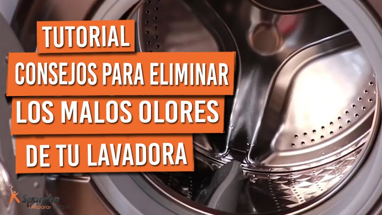 como limpiar la lavadora de malos olores