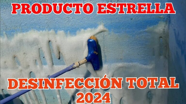 como limpiar las paredes de la piscina