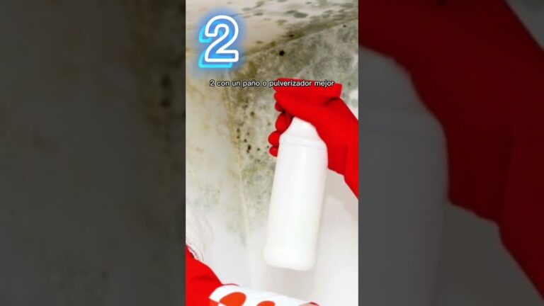 como limpiar moho de la pared