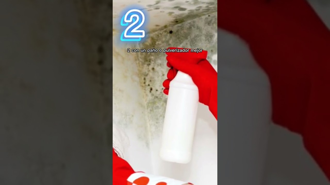 como limpiar moho de la pared