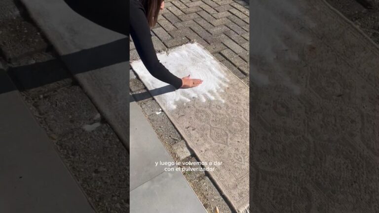 como limpiar una alfombra en casa