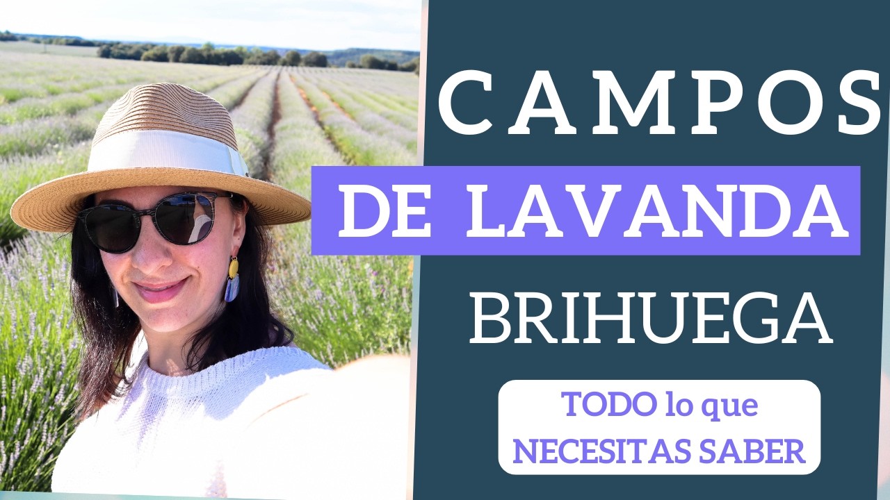 como llegar a brihuega desde madrid