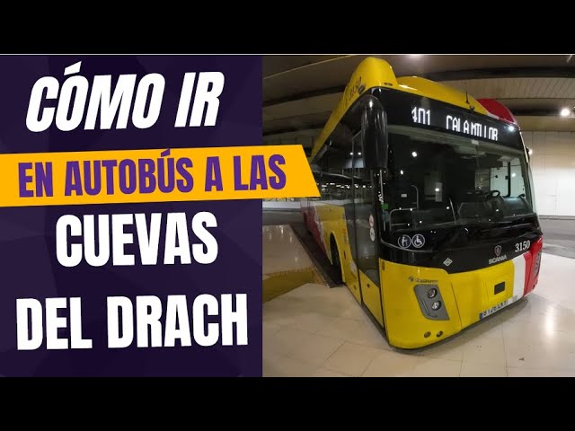 como llegar a las cuevas del drach desde palma