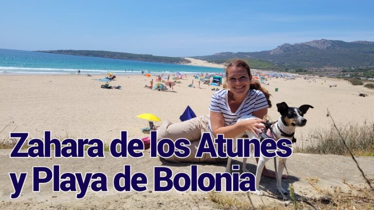 como llegar a zahara de los atunes desde madrid