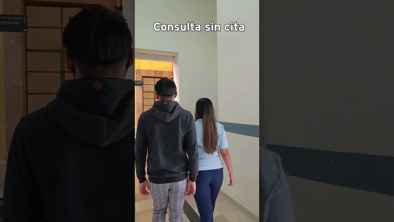 como llegar al hospital virgen del consuelo valencia