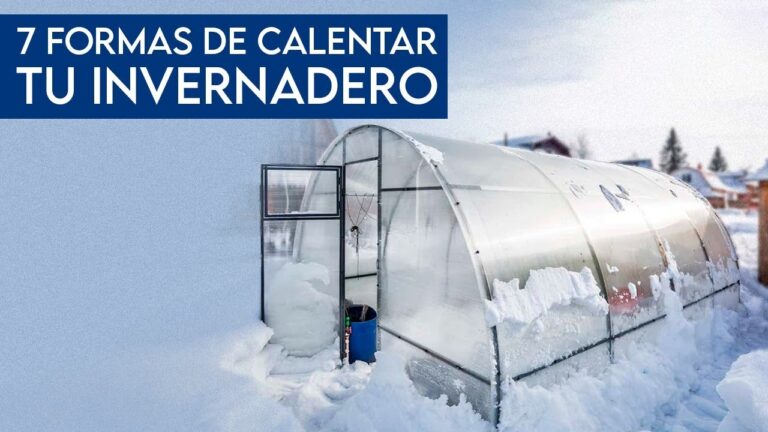 como mantener la temperatura en un invernadero casero