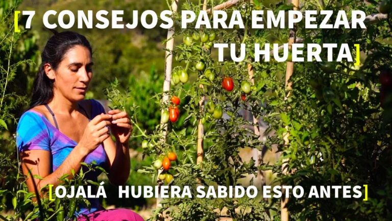 como organizar un huerto de 100 metros