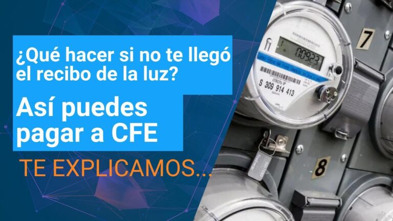 como puedo pagar la luz sin recibo