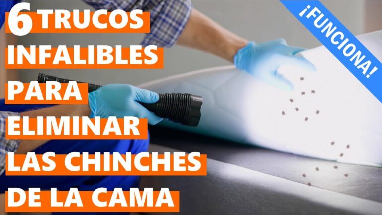 como quitar chinches de la cama