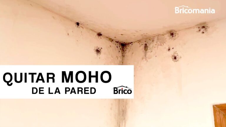 como quitar el moho de la pared