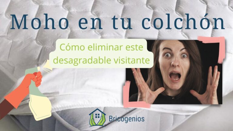 como quitar el moho de un colchon