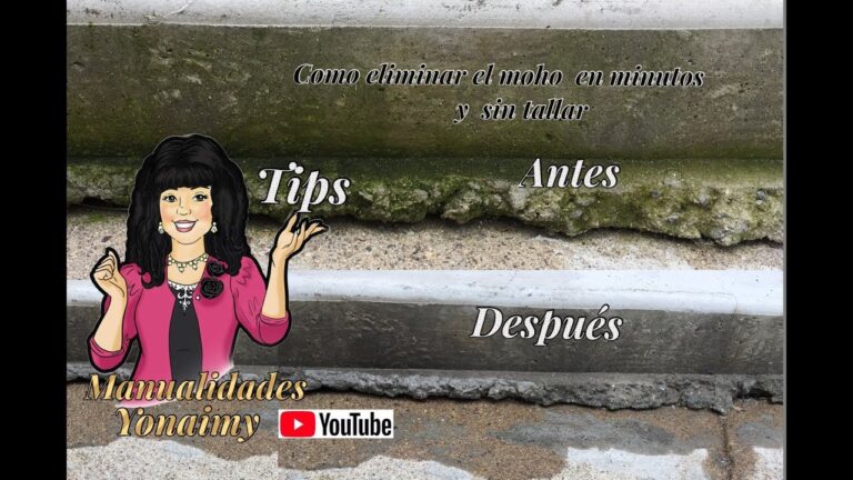 como quitar el verdin de la piedra