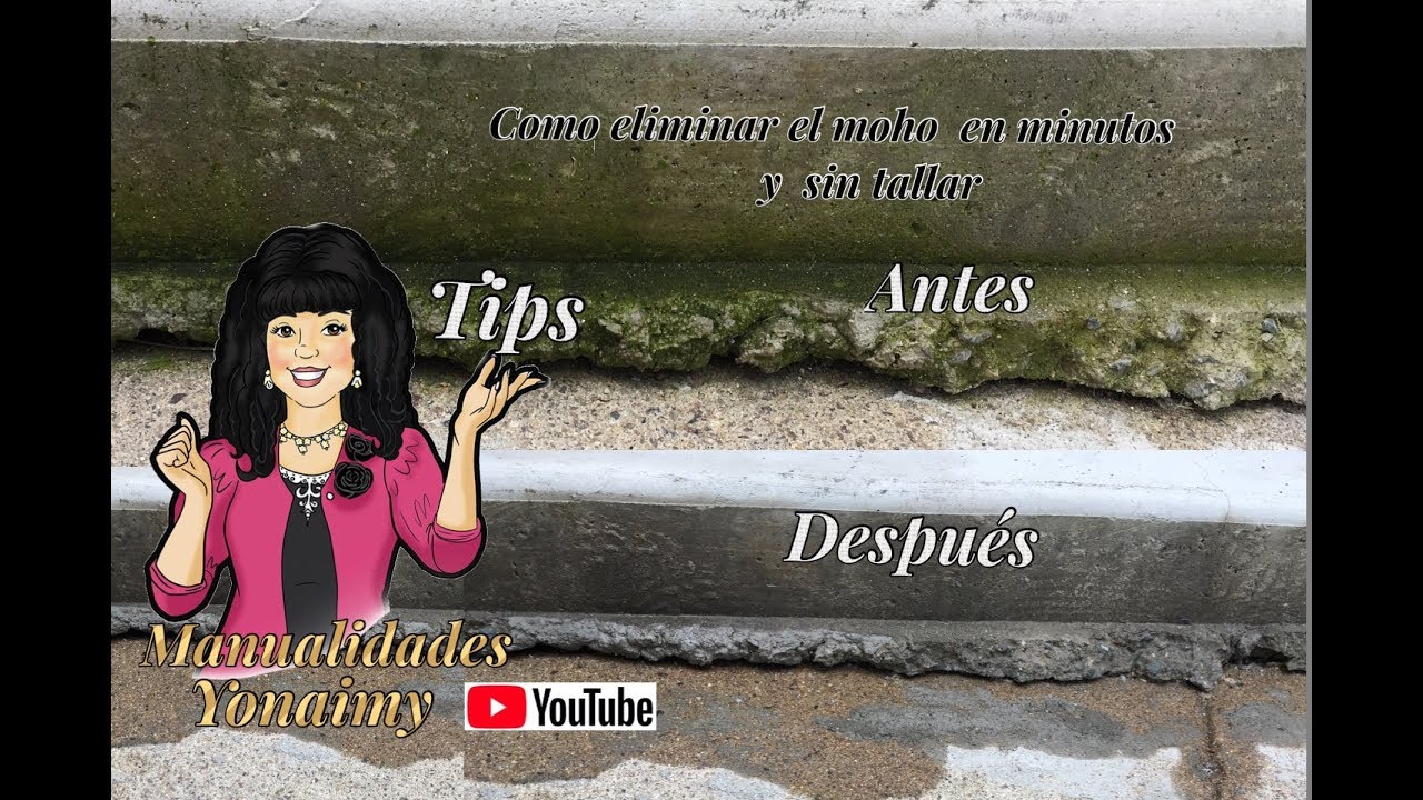 como quitar el verdin de la piedra