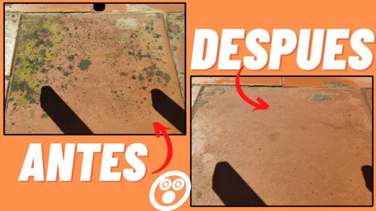 como quitar el verdin de la terraza