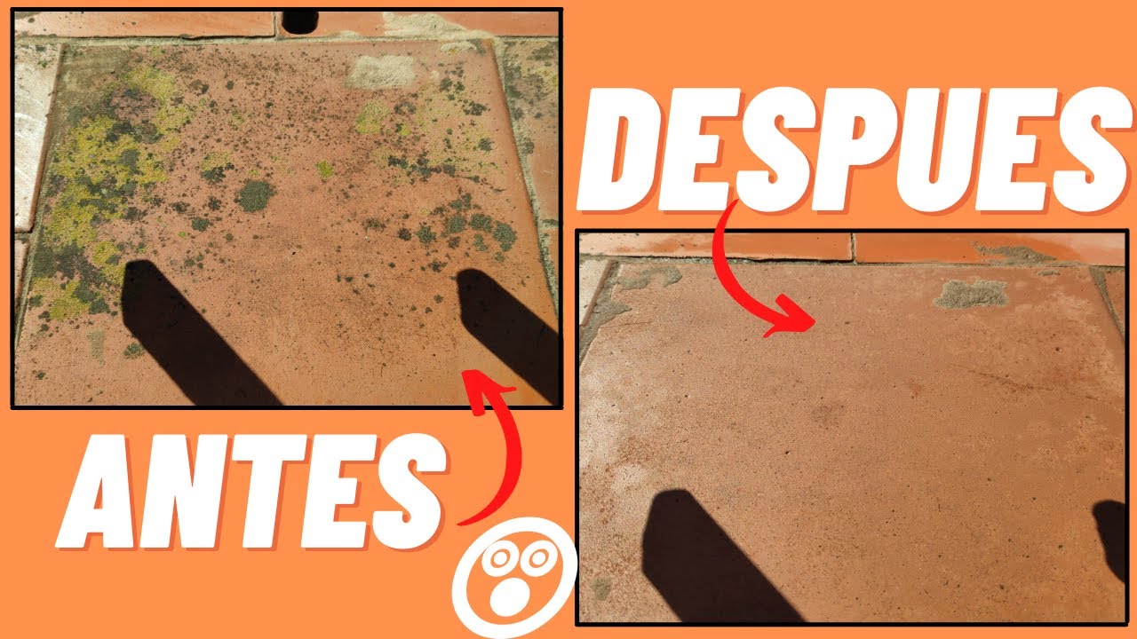 como quitar el verdin de la terraza