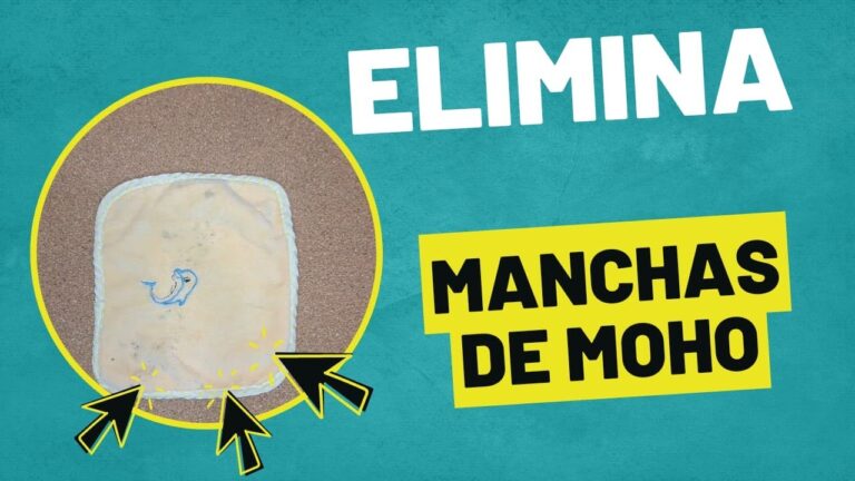 como quitar hongos de la ropa