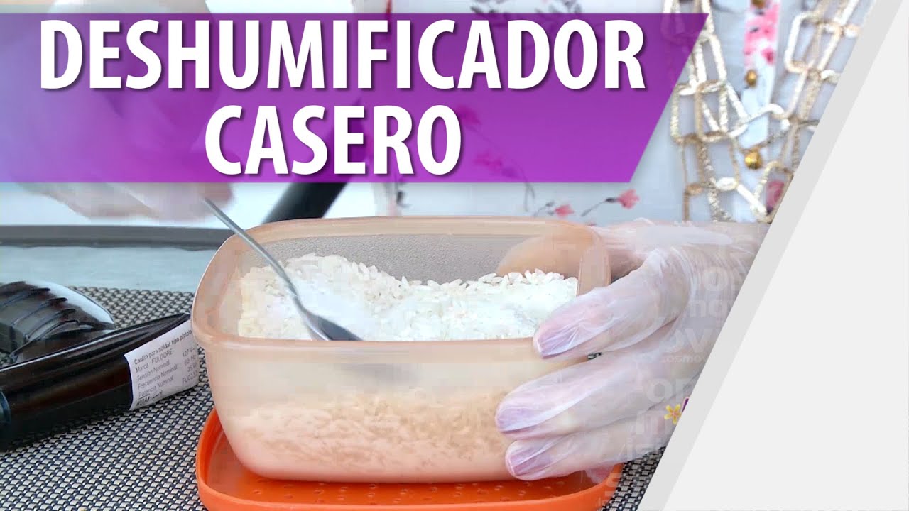 como quitar la humedad de una casa