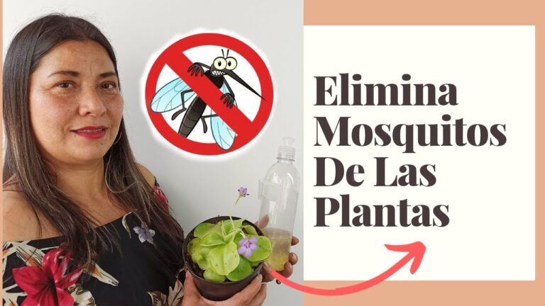 como quitar los mosquitos de las plantas