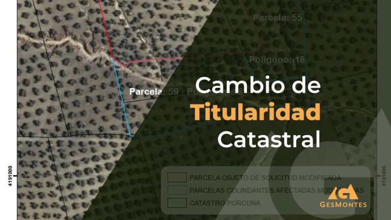 como reclamar la titularidad de una finca