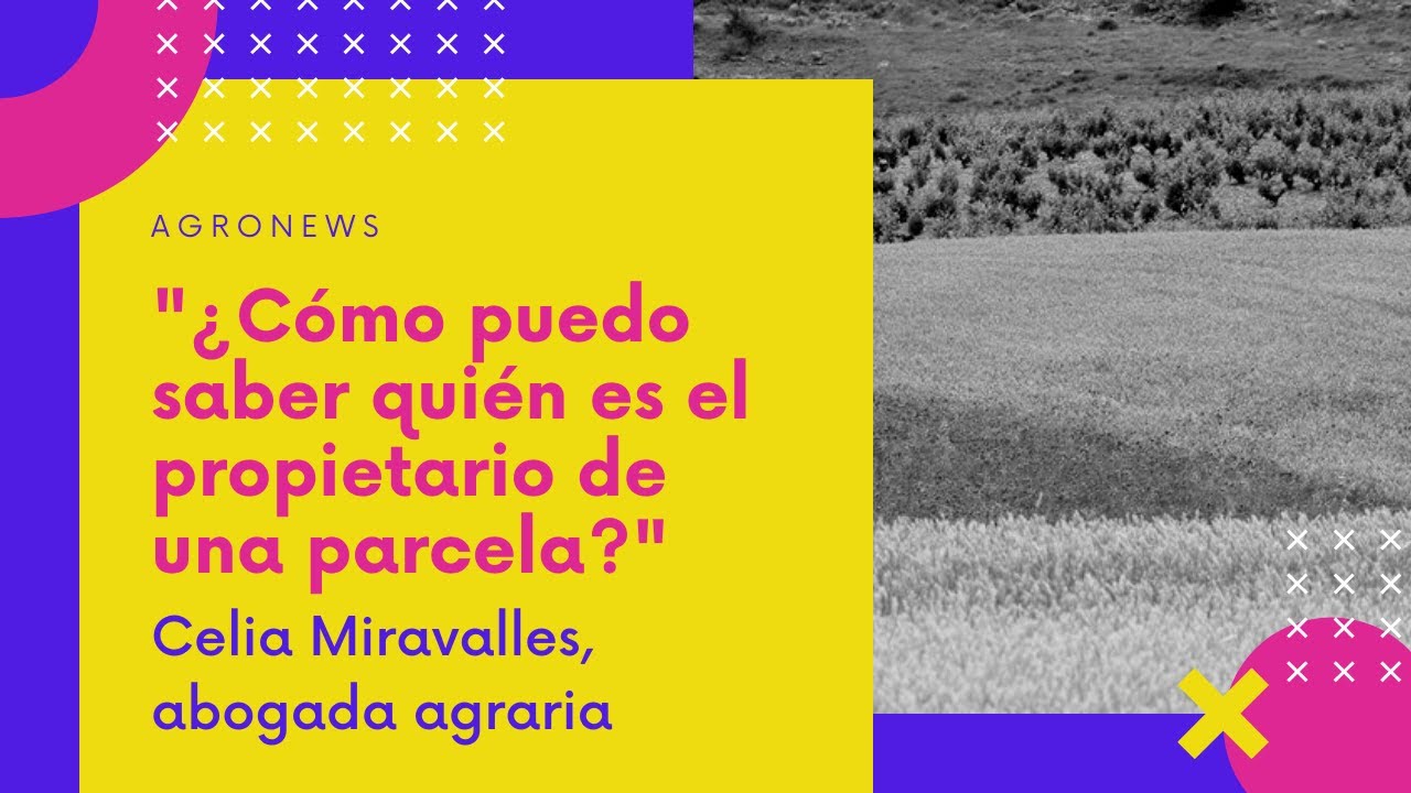 como saber de quien es una parcela
