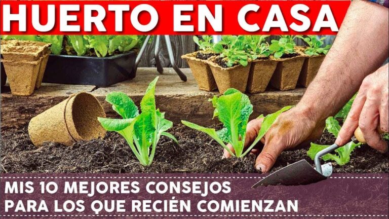 como tener una huerta en un departamento