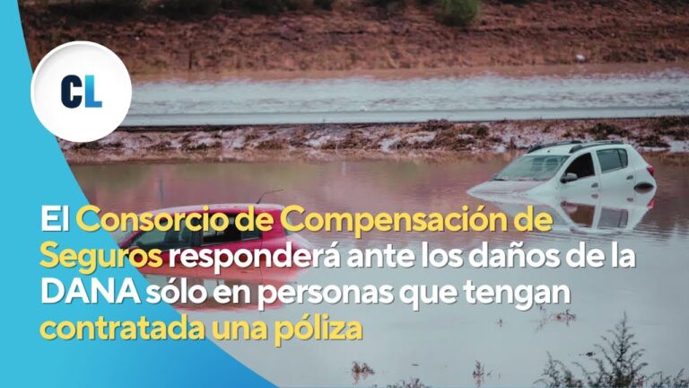 cuanto paga el consorcio de seguros dana
