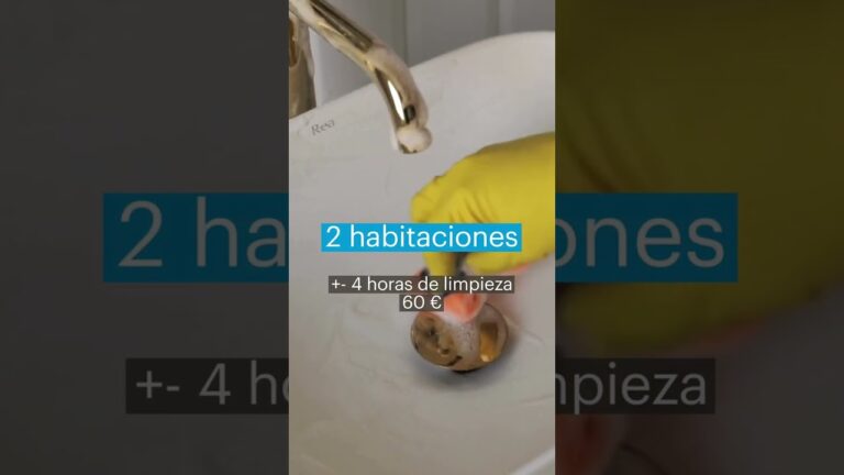 cuanto se paga la hora de limpieza