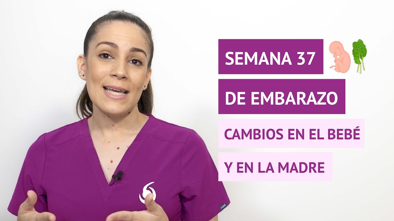 cuanto son 37 semanas en meses