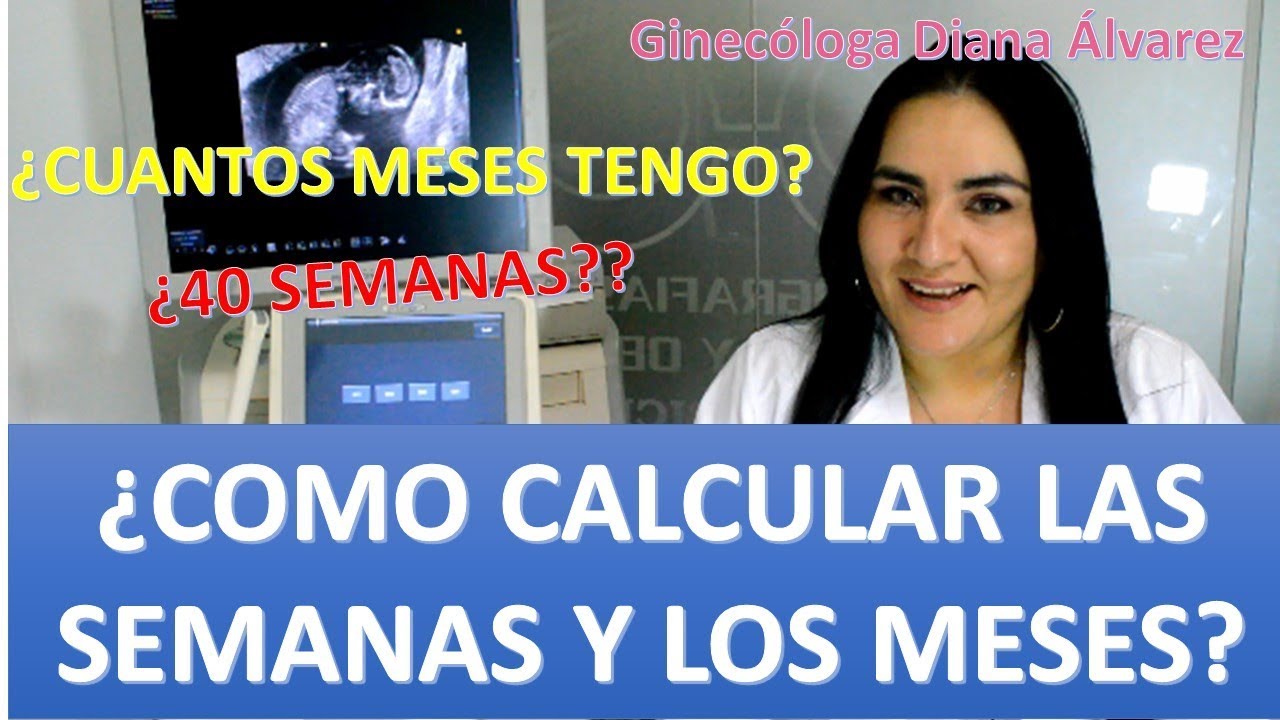 cuanto son 6 semanas en meses