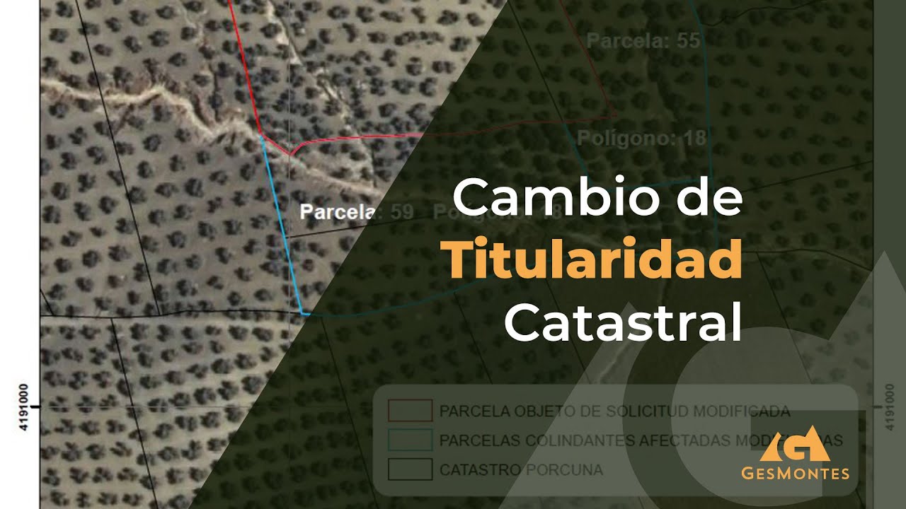 cuanto tarda el catastro en cambiar la titularidad
