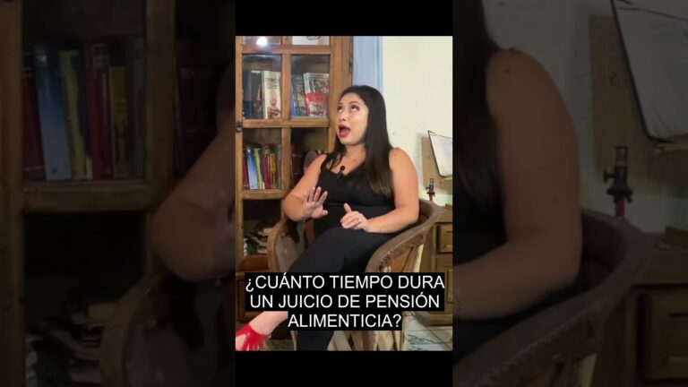 cuanto tarda un embargo por pension alimenticia