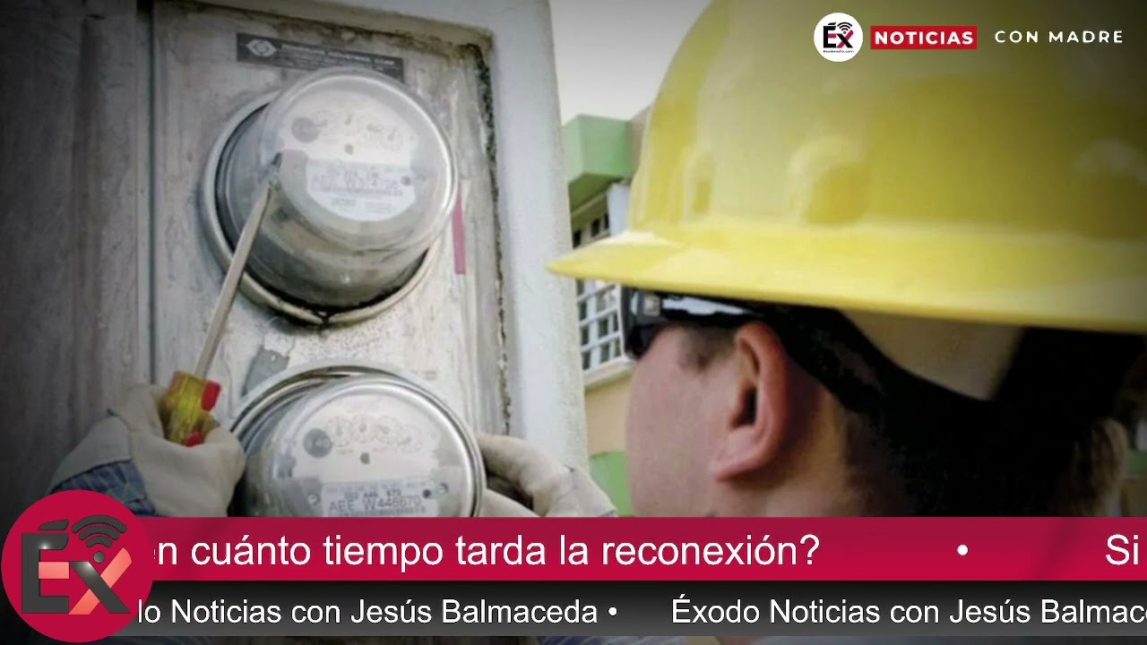 cuanto tardan en dar la luz después de cortarla