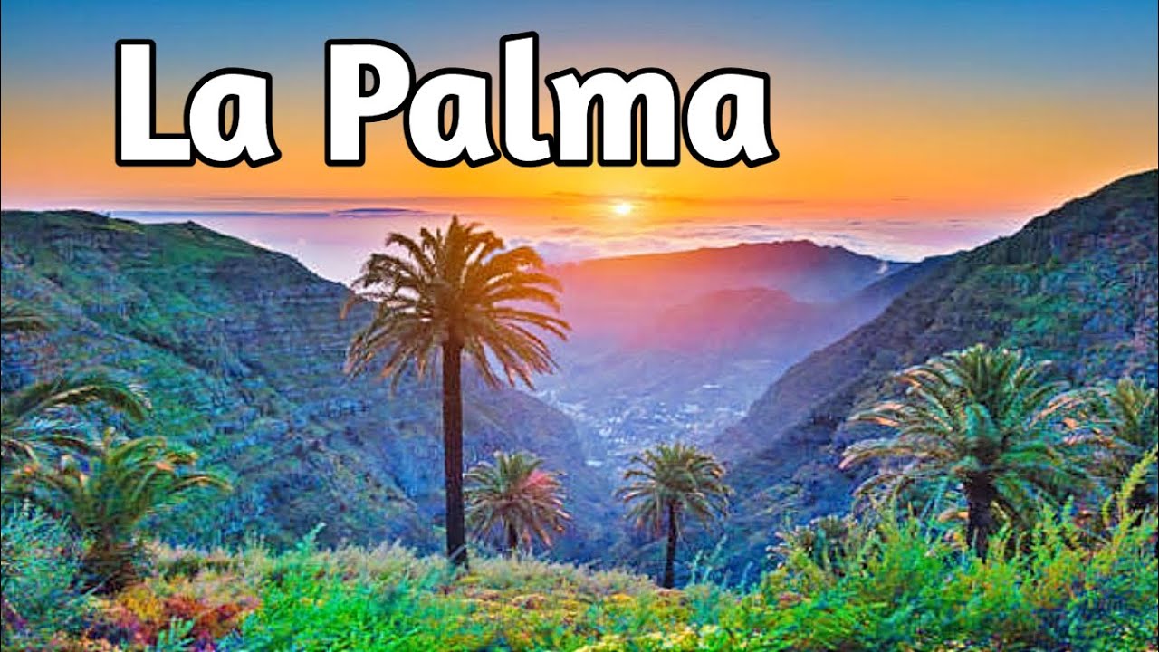 el paso la palma como llegar