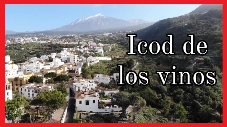 icod de los vinos como llegar